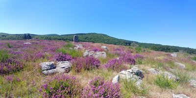 Lande de Laouzetto