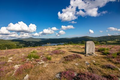 Statue-menhir de Rouyregros sur le plateau fleuri