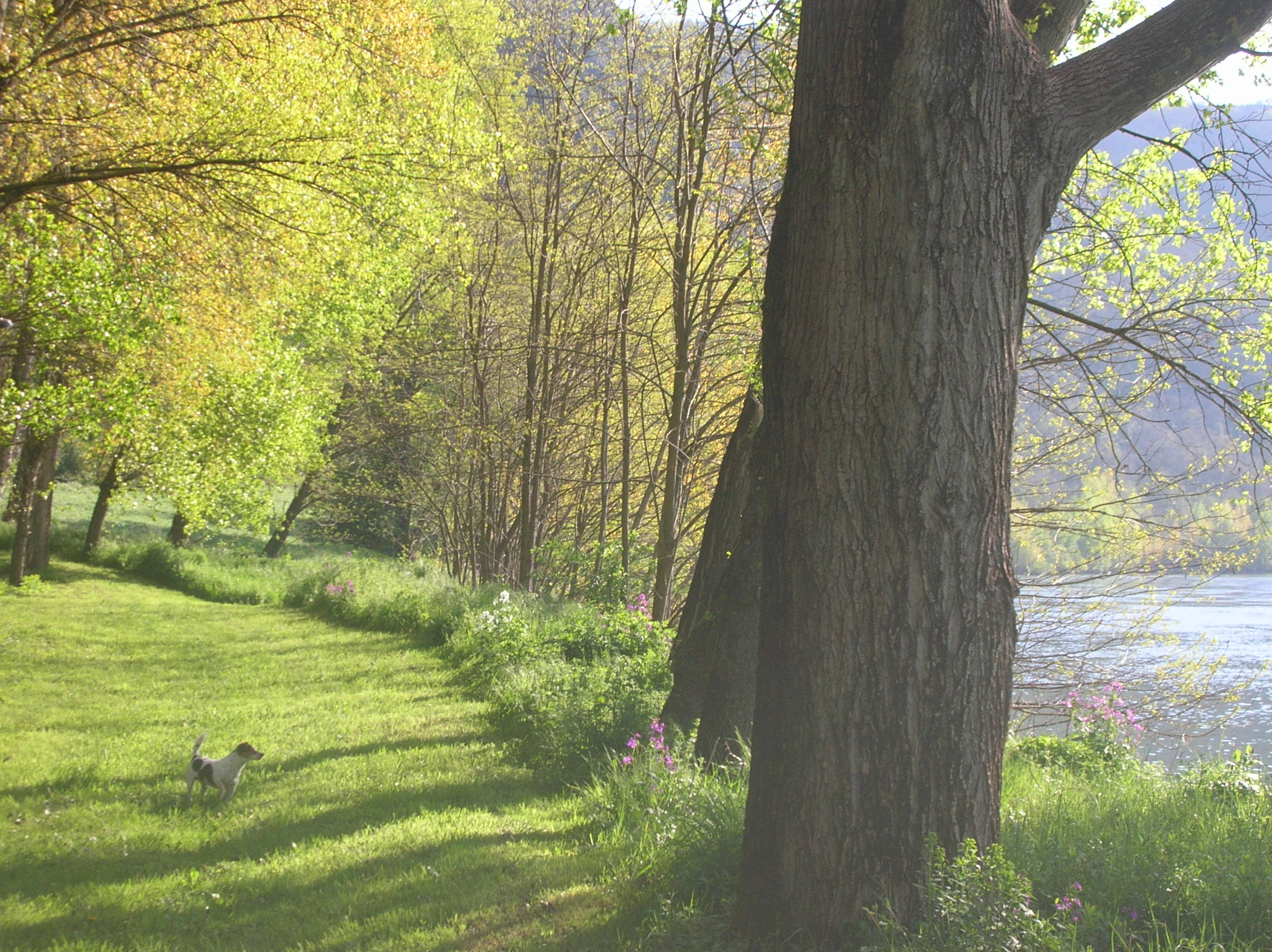 Camp Vallée du Tarn