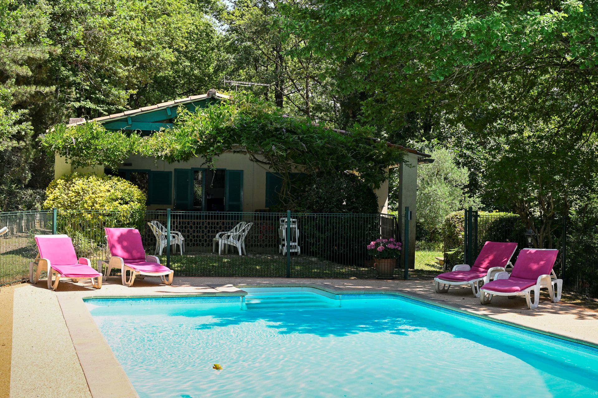 chalet et piscine