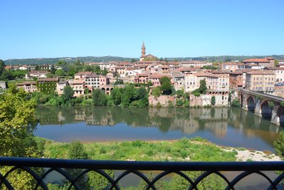 Albi Location Billy