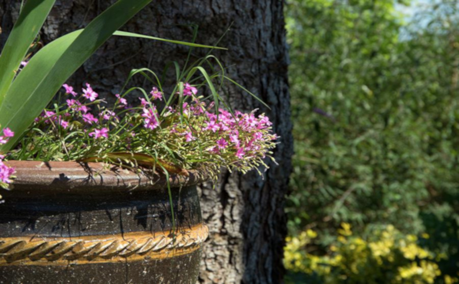 Kumbaya - La Balagane_Bellegarde-Marsal