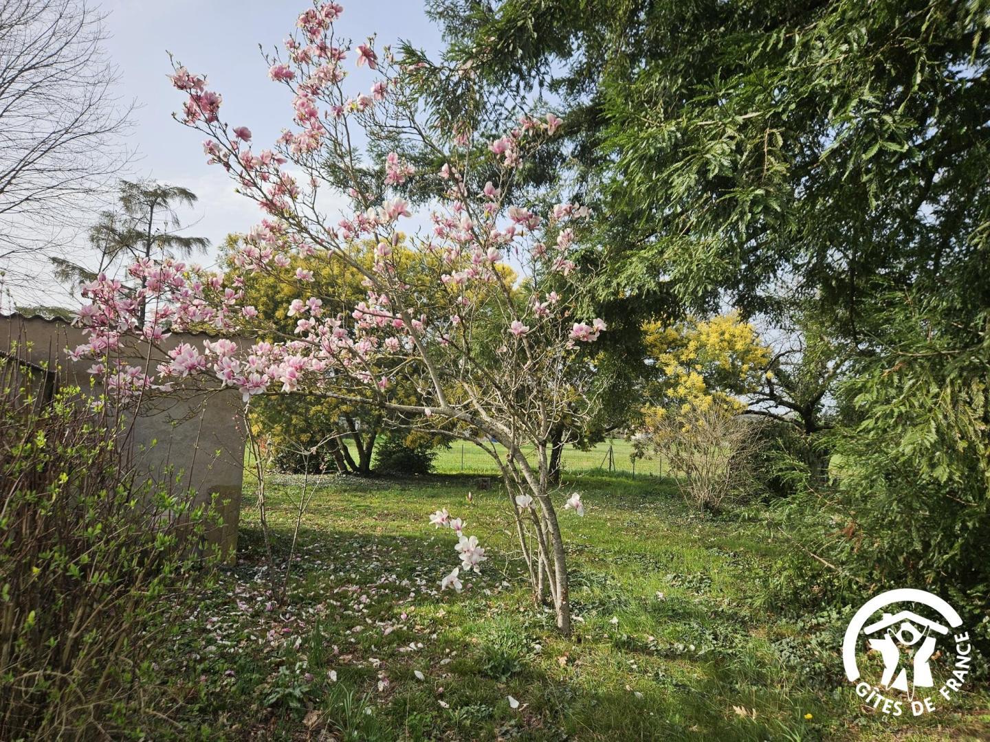 Enjalbert - Albi - Gîtes de France Sud - jardin