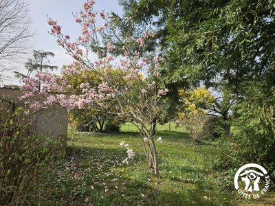 Enjalbert - Albi - Gîtes de France Sud - jardin