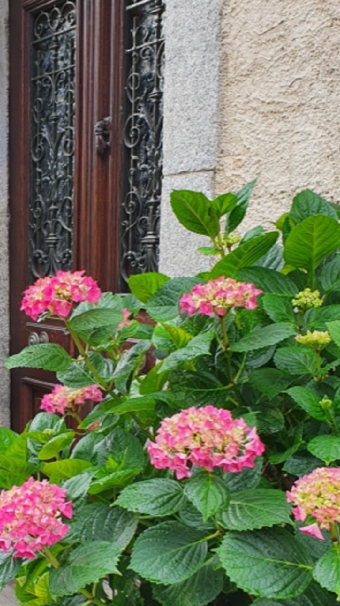 Porte