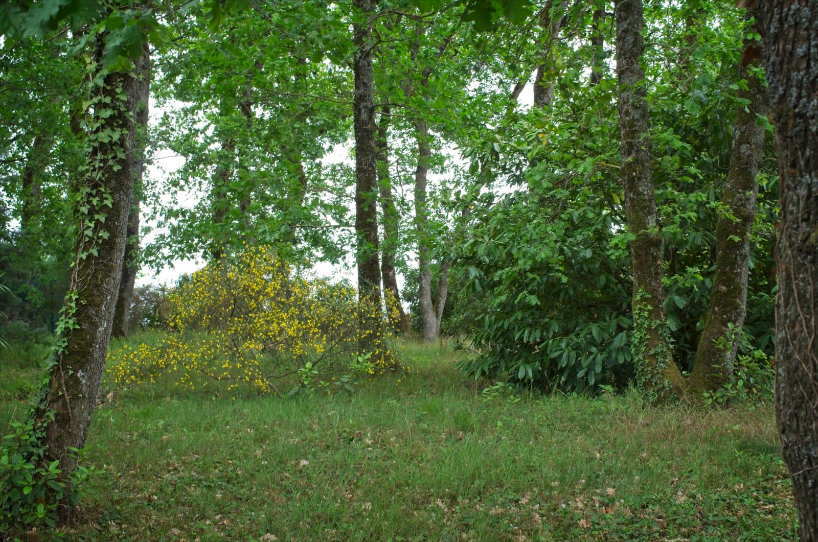 La bergère du Tarn - G1734 à Lugan - Gîtes de France
