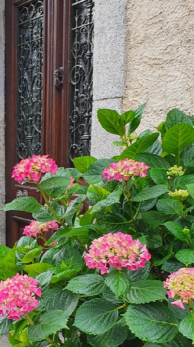 Porte