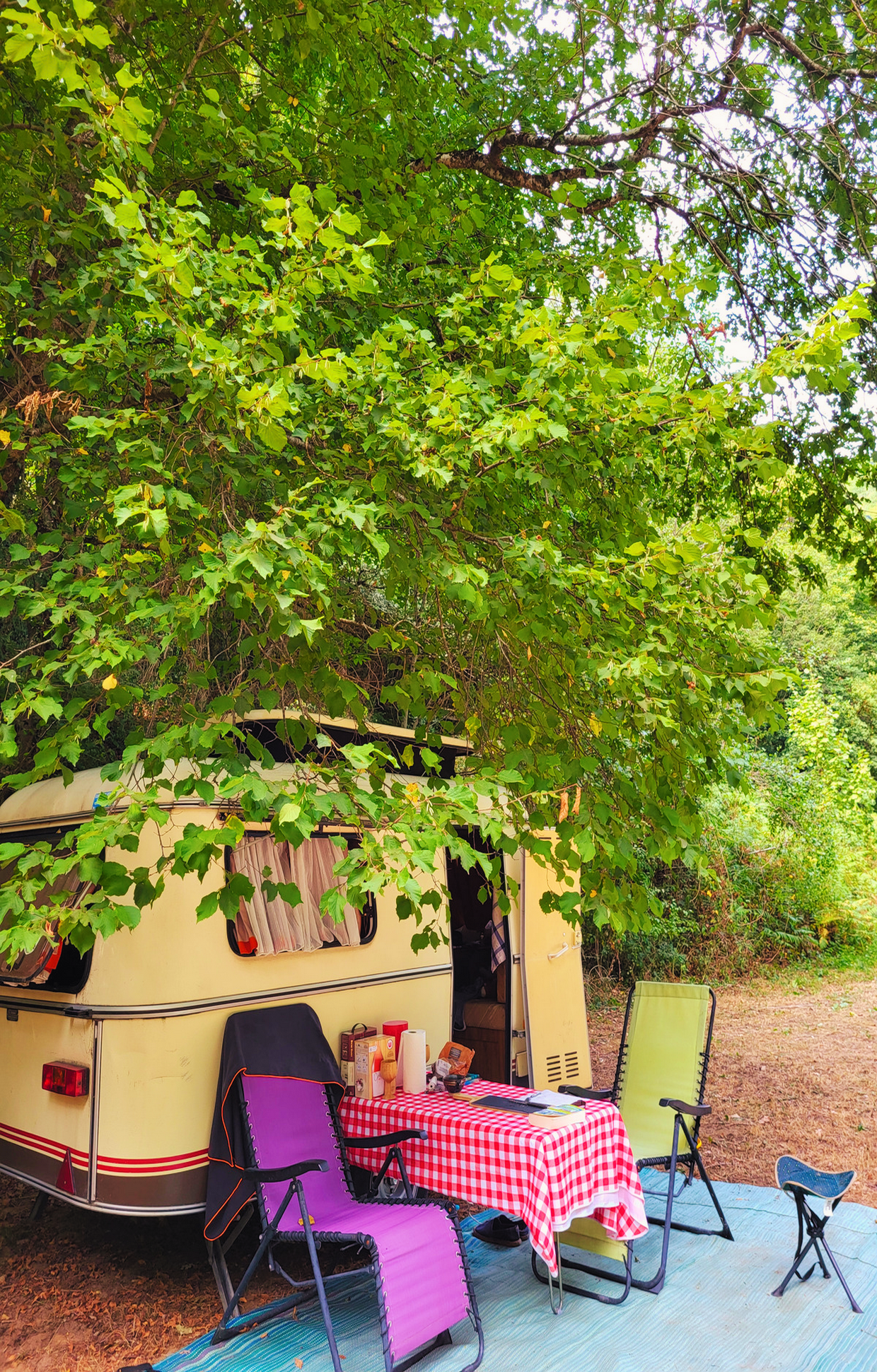 Camping Le Bois Flottant_Lacrouzette caravane vintage