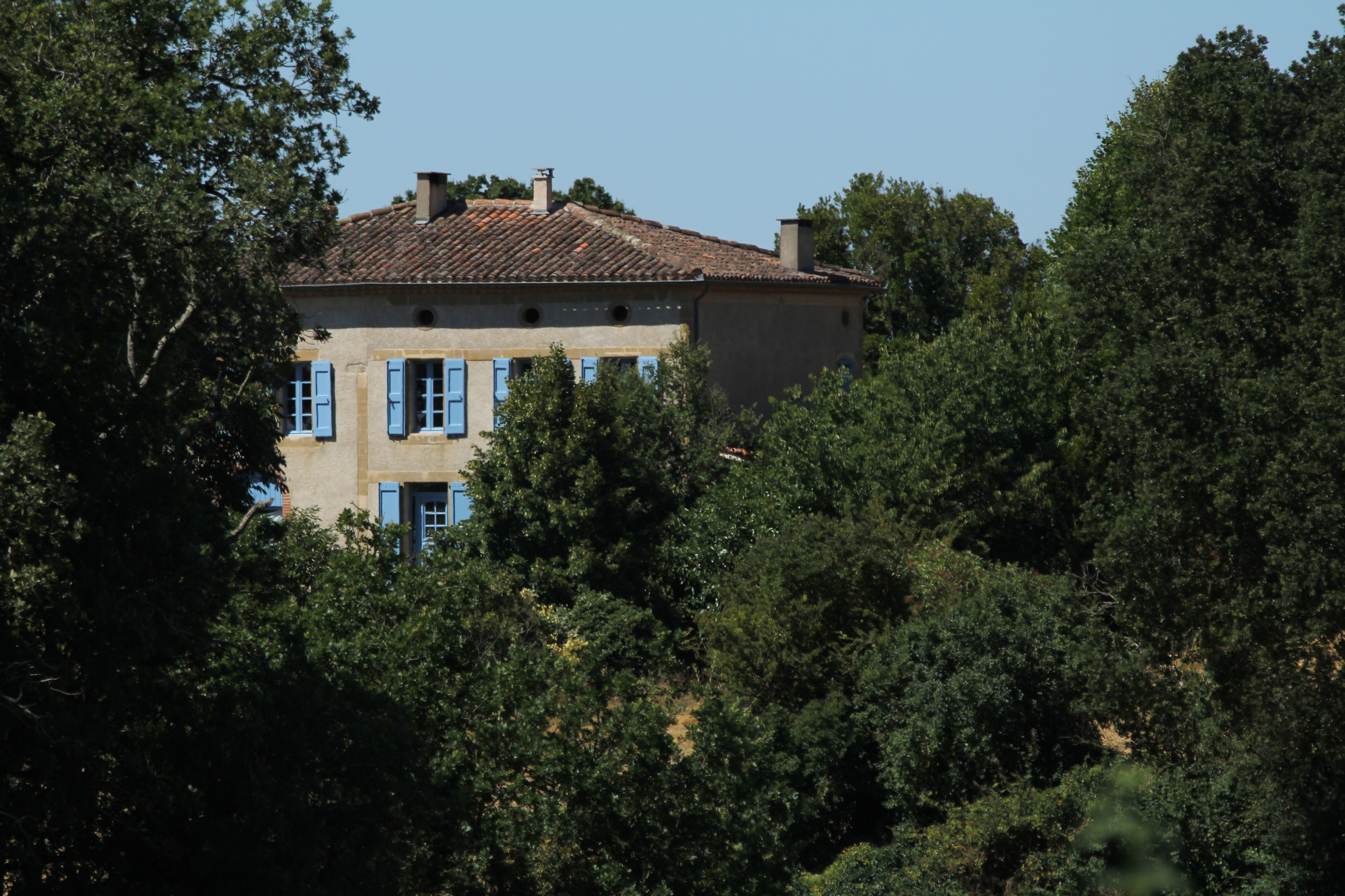 Coeur Cocagne - Magrin G1787