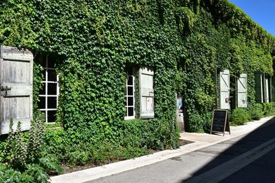 Restaurant St Martin