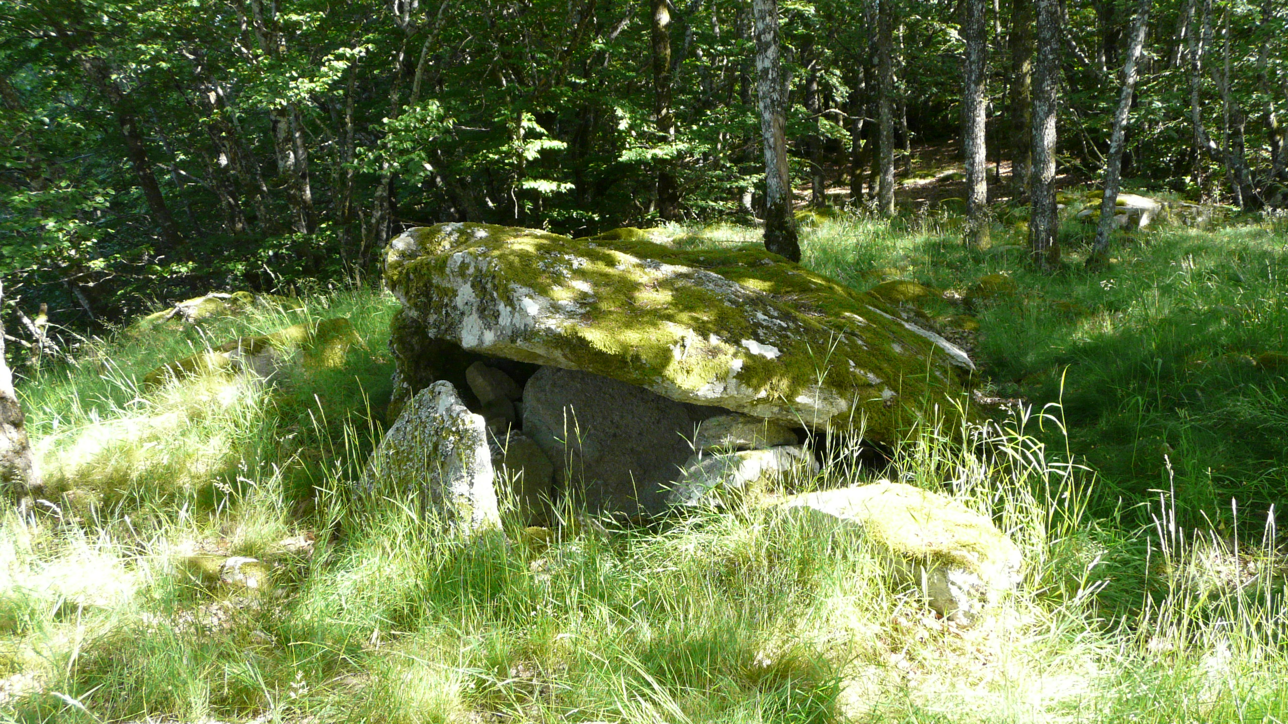 Dolmen de castelsec
