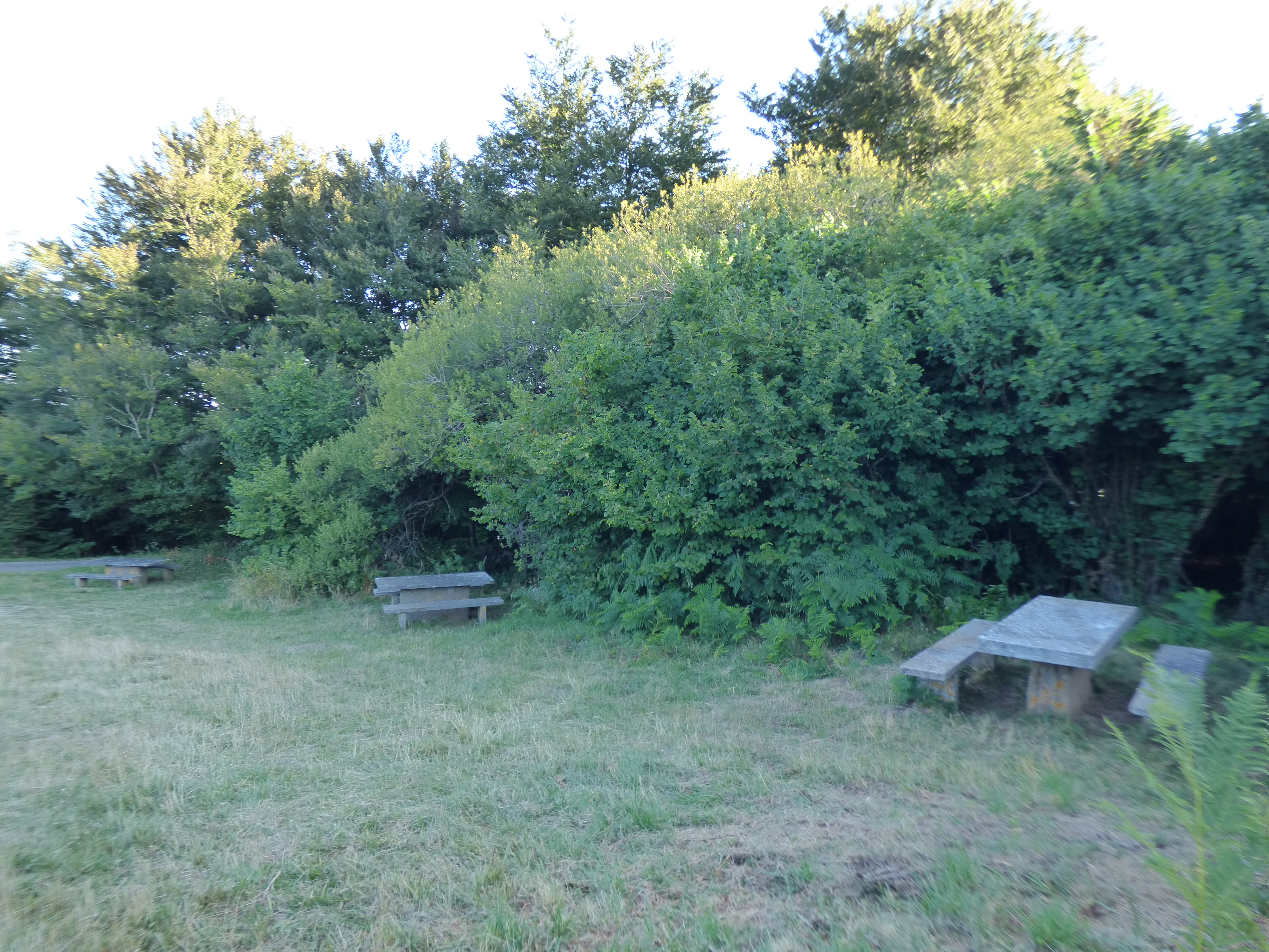 Aire de pique-nique