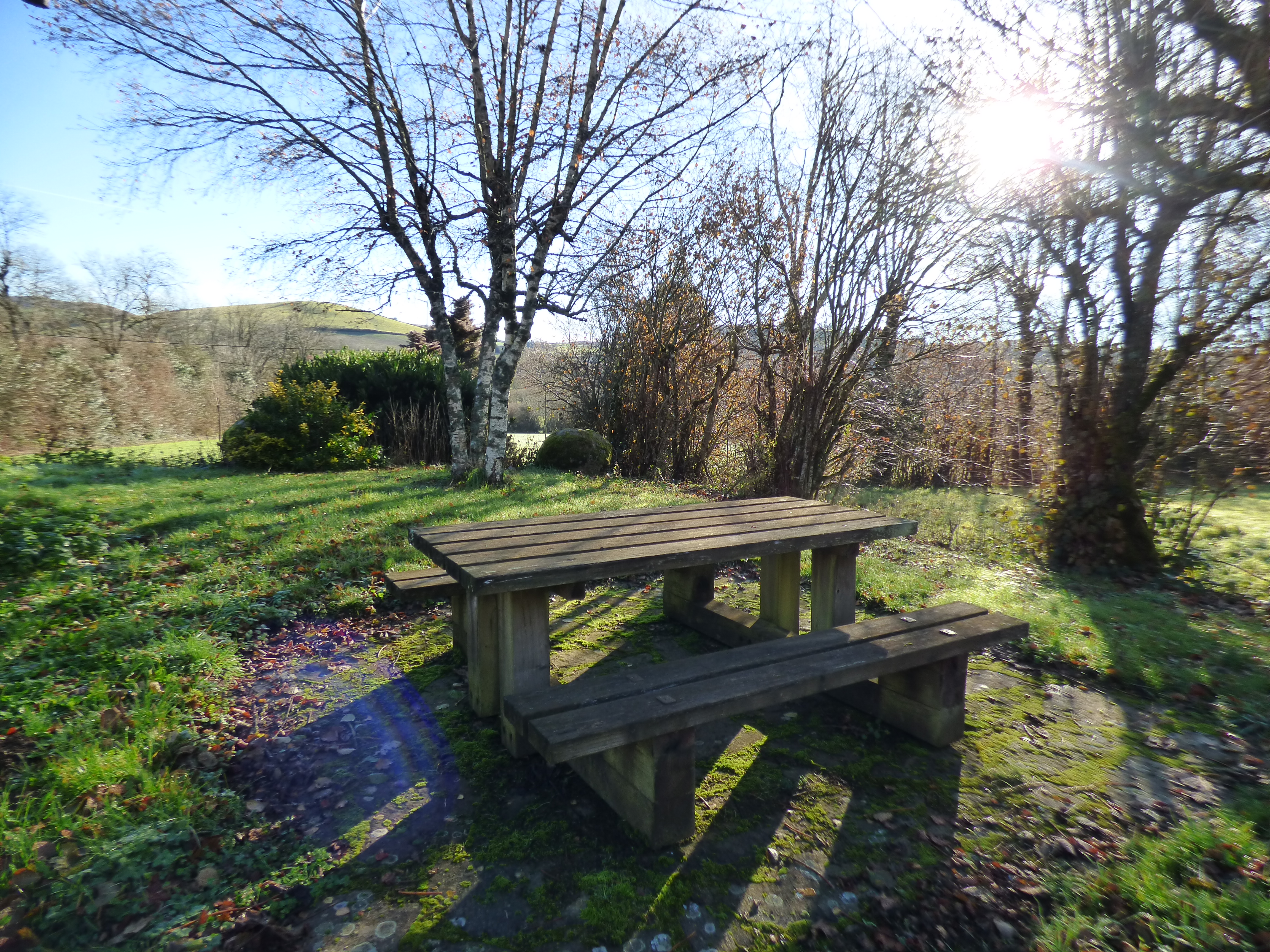 Espace ombragé