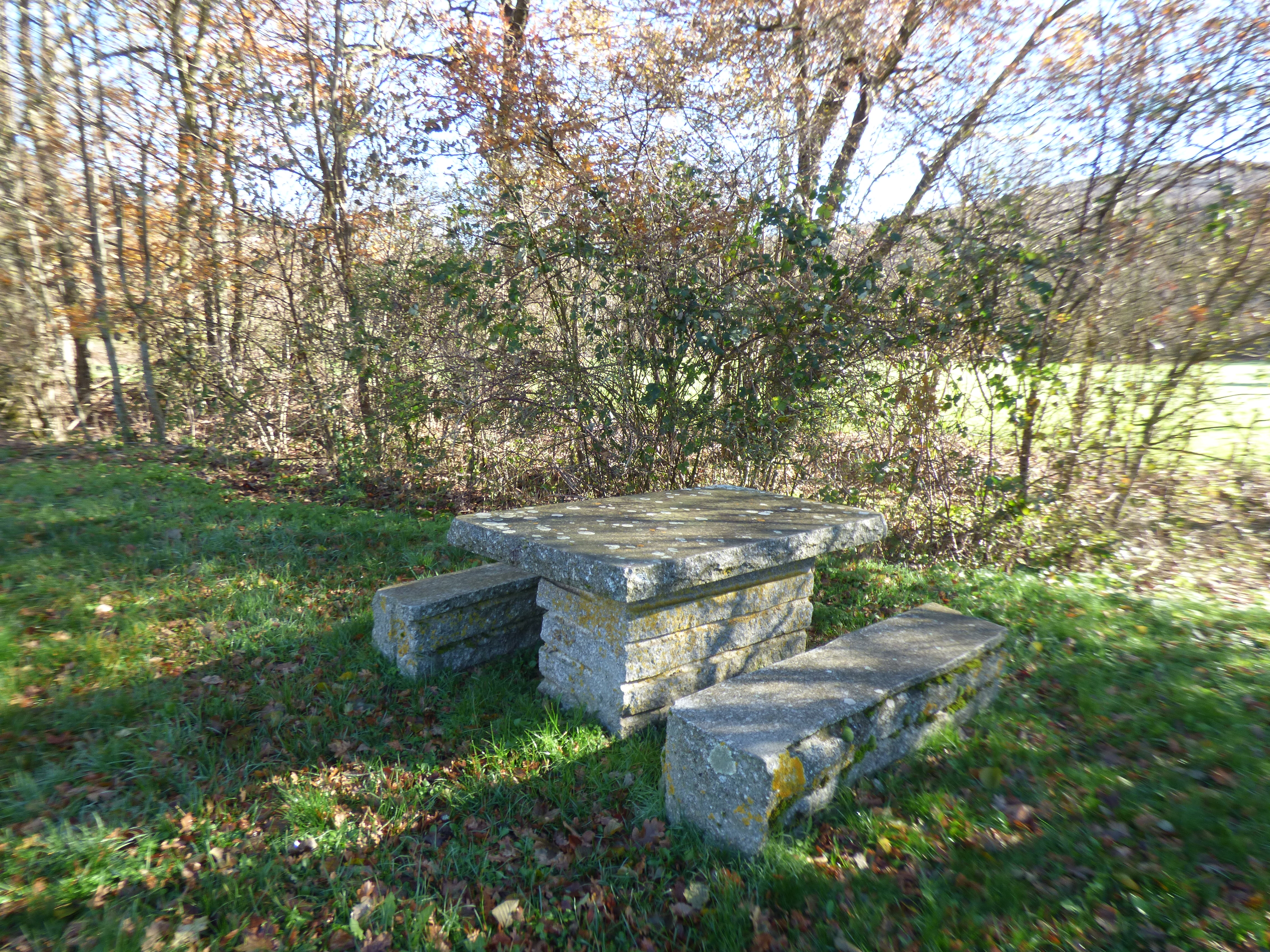 Aire ombragée