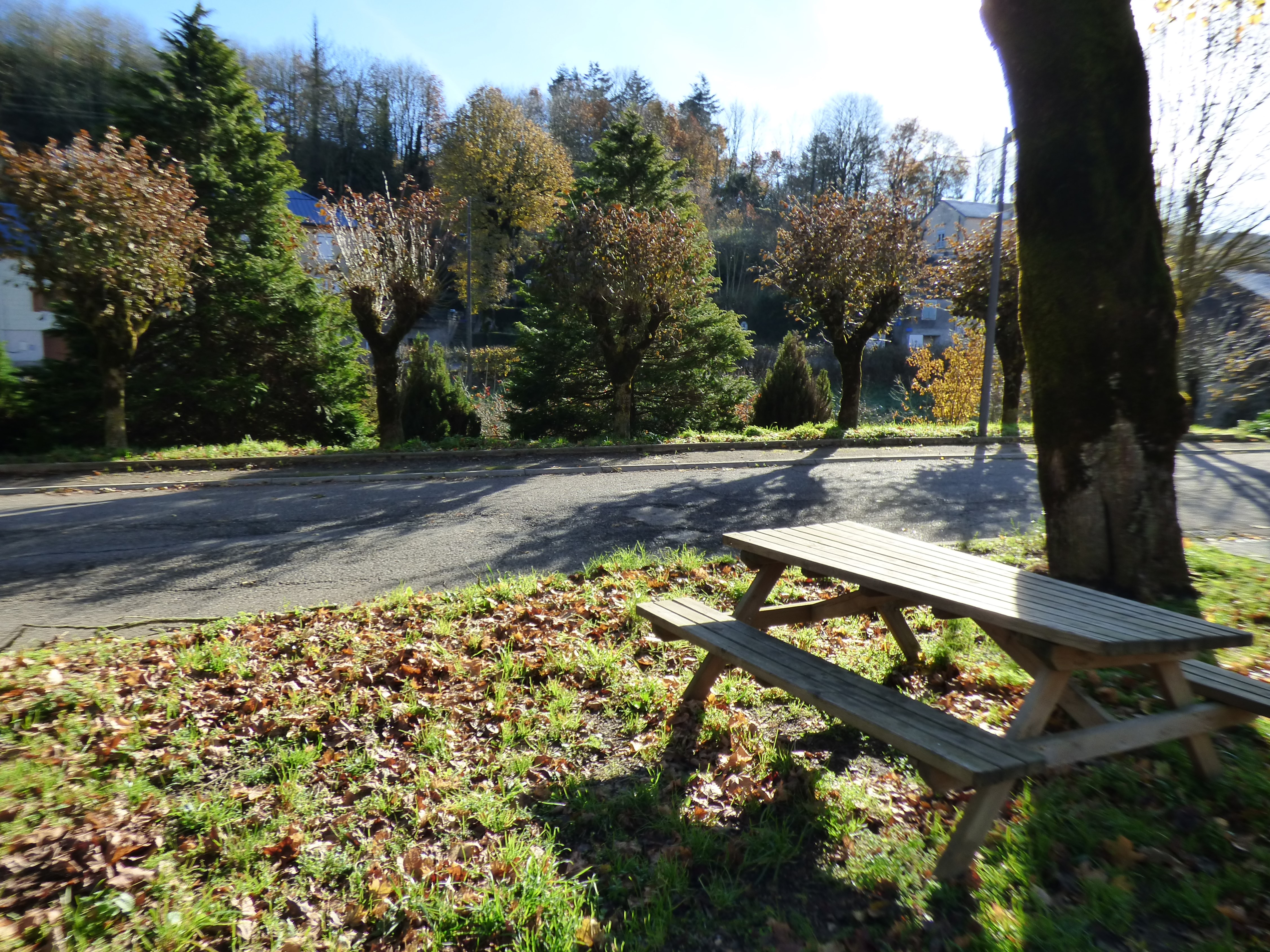 Aire ombragée