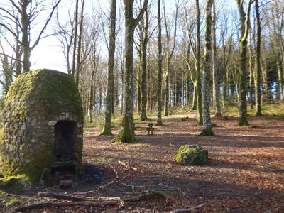Aire de pique-nique dans les bois