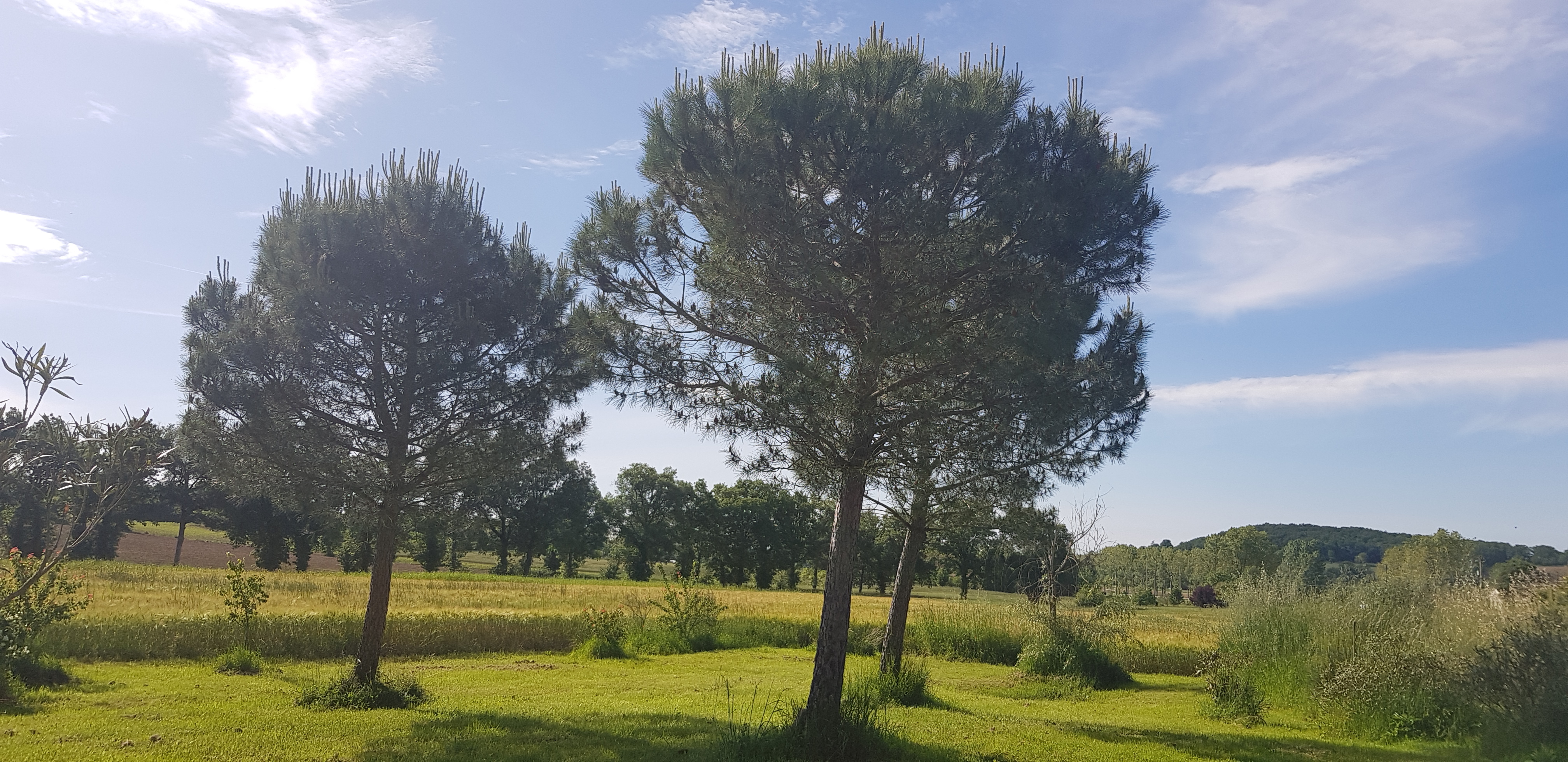 Jardin privatif - vue appartement