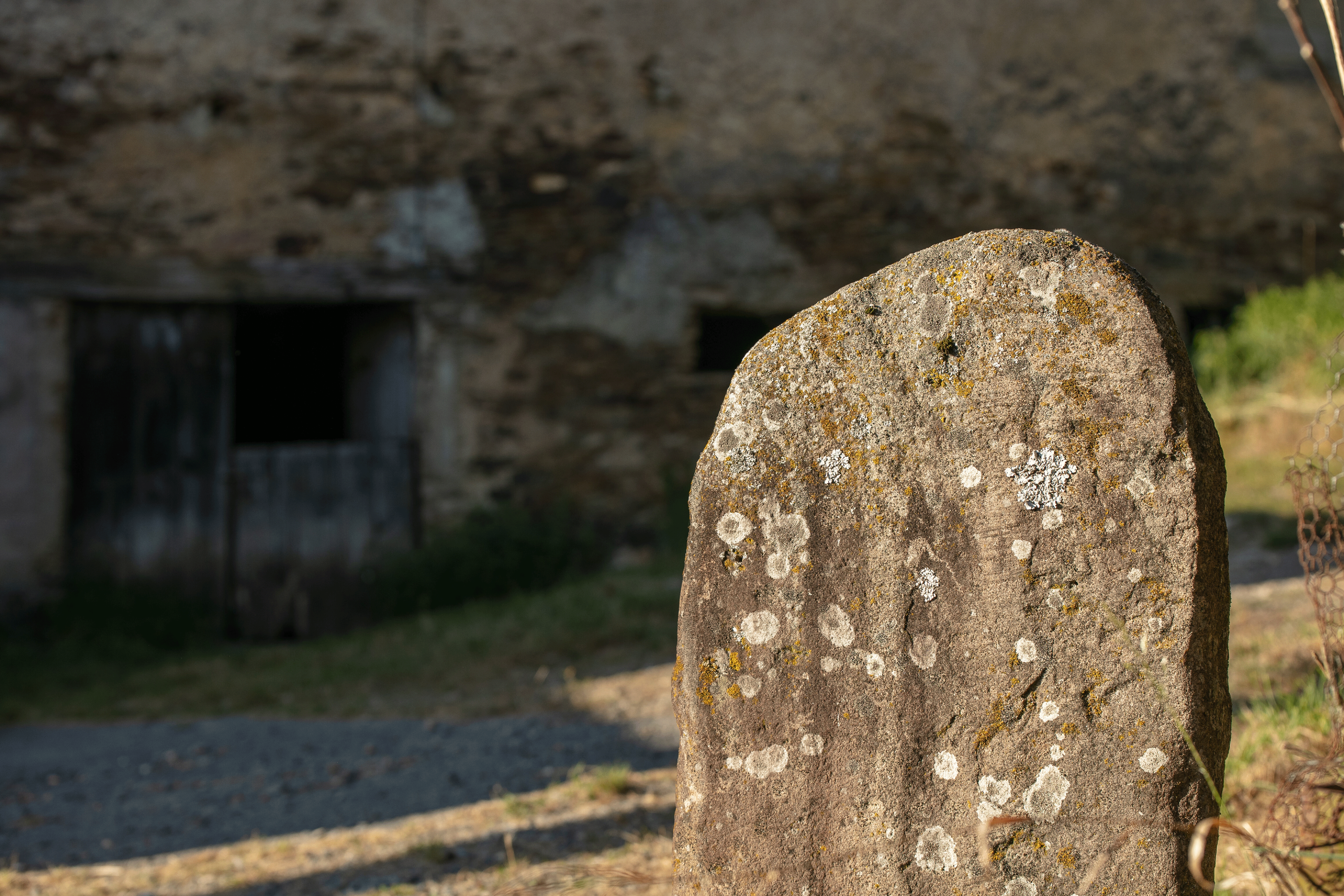 Vue rapprochée de la statue-menhir des Ouvradous 1