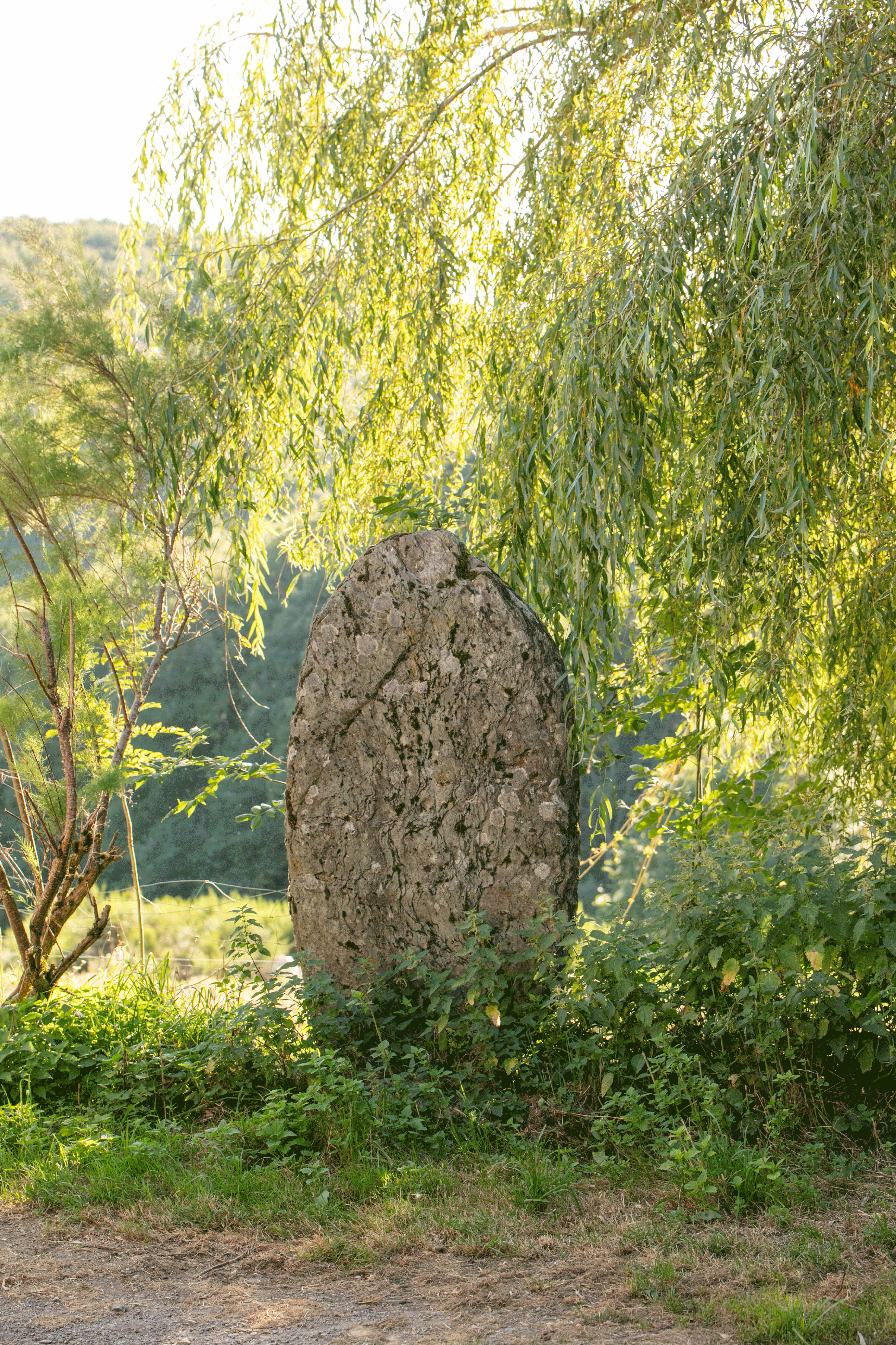 Face principale de la statue-menhir