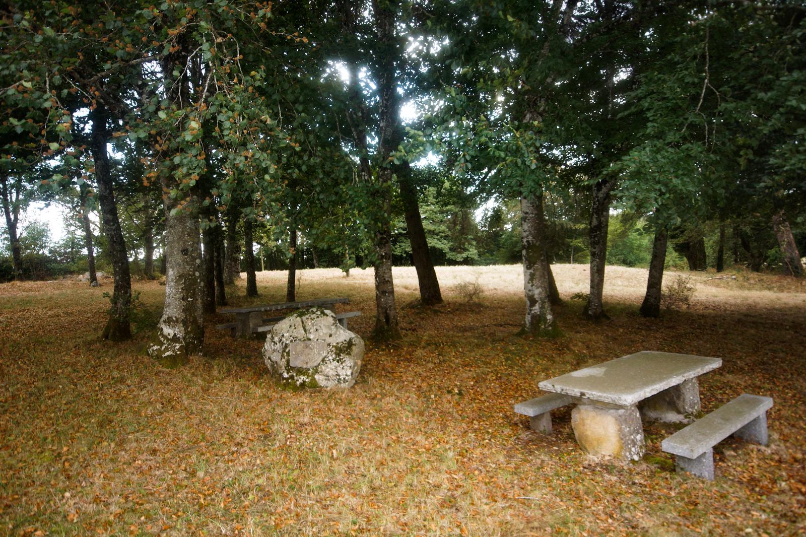 Aire ombragée