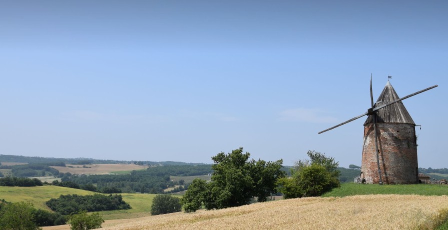 Le moulin de la Prune_Rabastens