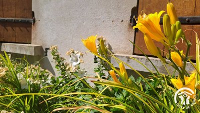 Camping à la Ferme En Galinier - Briatexte, Tarn -
