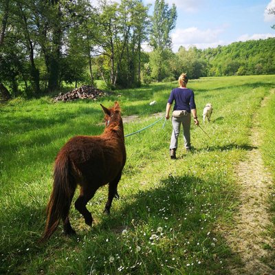 Sur le GR46 avec Marius