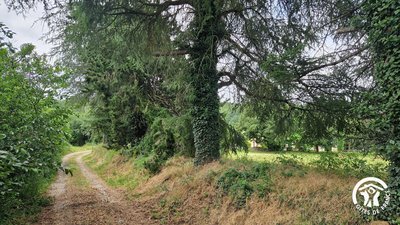 chemin d'accés à La Boriette