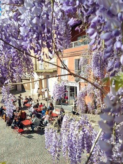 Rouge Gorge_Gaillac