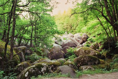 Chaos de la rouquette