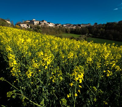 Vue sur Castelnau-de-Montmiral