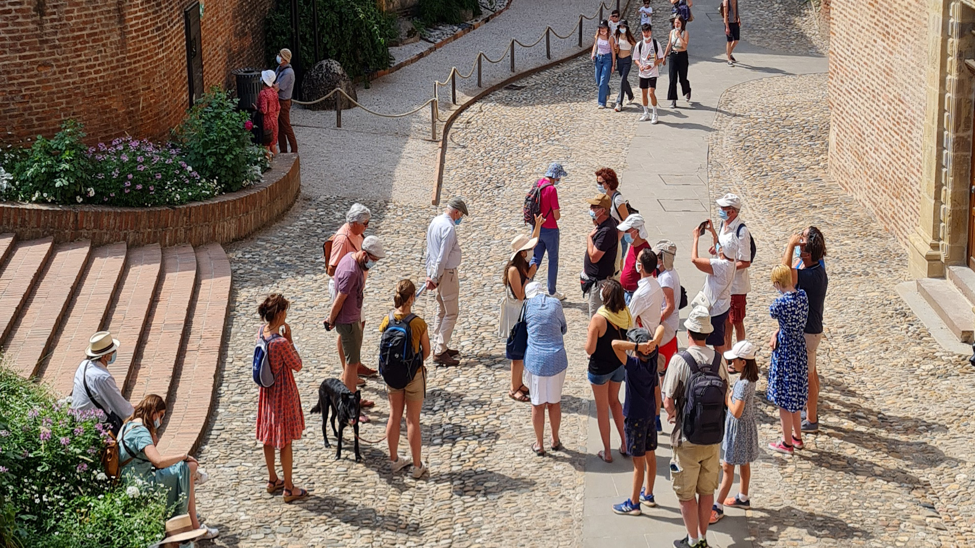 Albi visites guidées