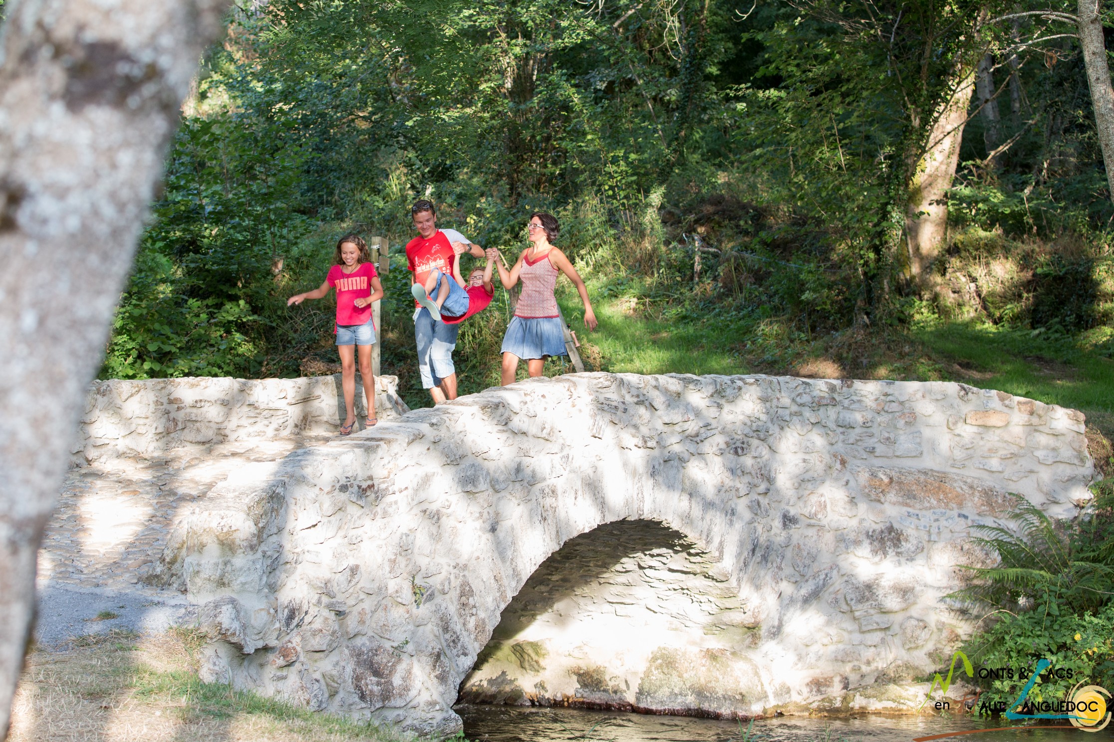 Pont au-dessus du Viau