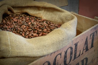 Musée Art du Chocolat à Lisle-sur-Tarn