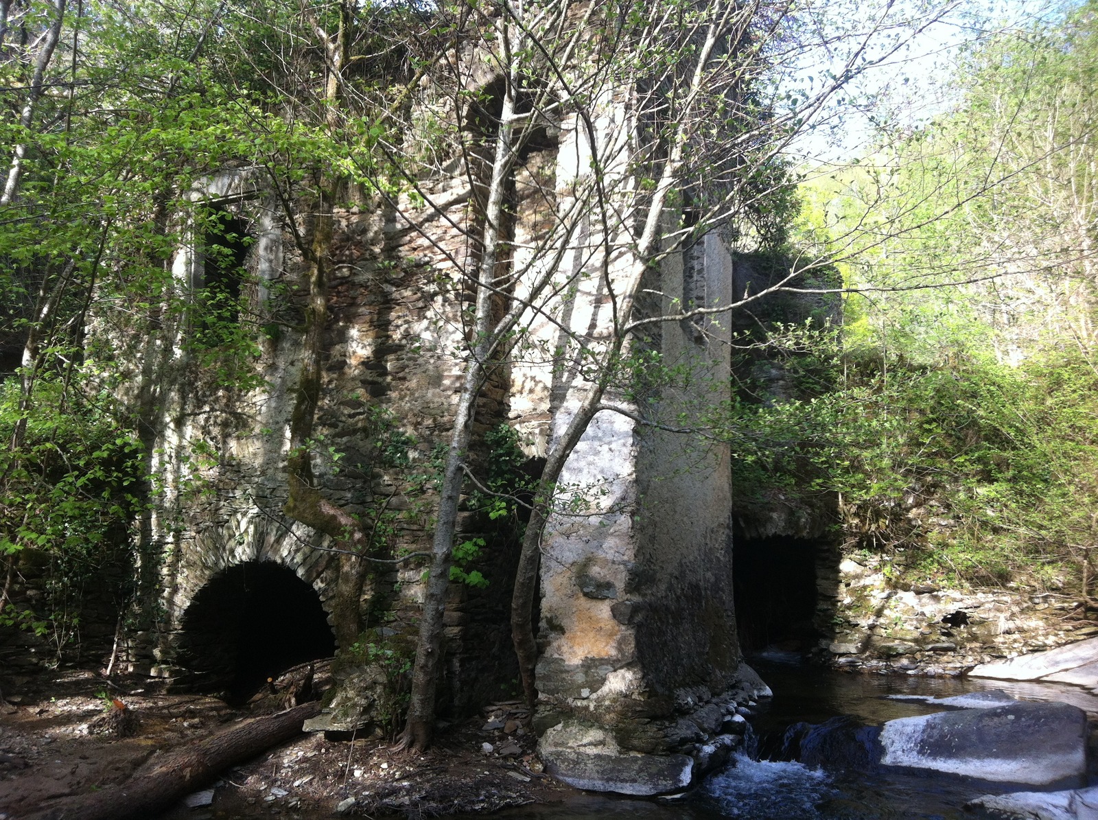 Tarn Tourisme