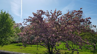 bournazelhaie