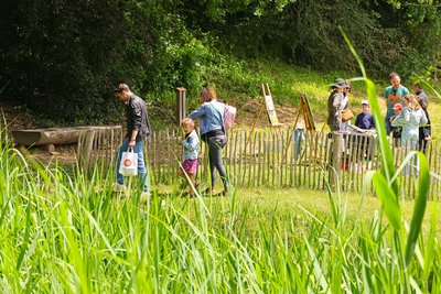 A la rencontre des géants (verts) du Parc Rochegude_Albi
