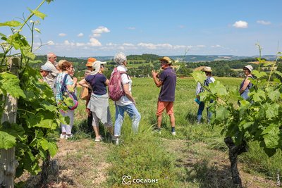 Escapade & brunch vigneron - les Vignes des Garbasses_Cabanès