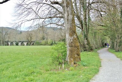 Fontrieu