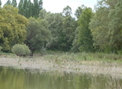 Zone de quiétude