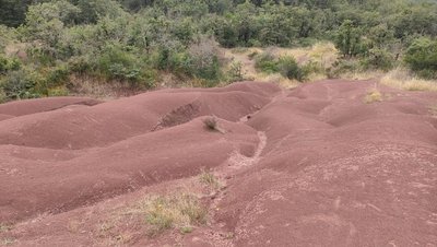 Un paysage atypique de rougiers