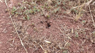 Une faune et une flore qui s'adaptent
