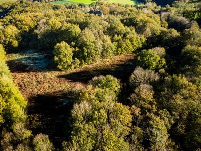 Espace ouvert au coeur d'un milieu forestier