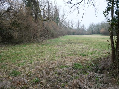 Les prairies humides