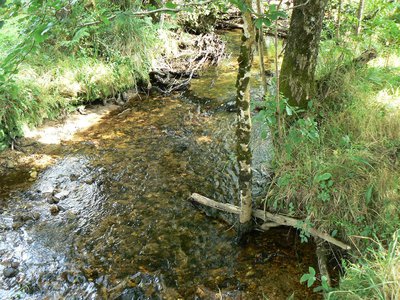 Ruisseau de la Teillouse