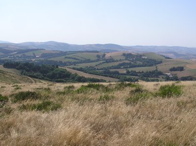 Landes montagnardes