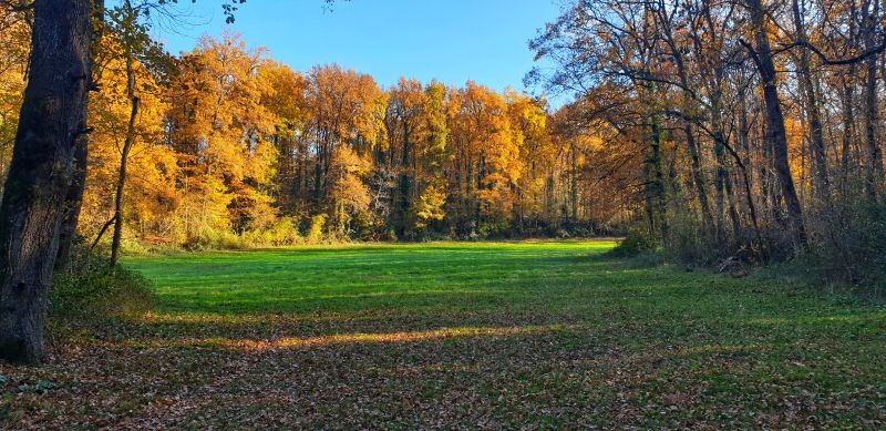 Bois de Bel Air