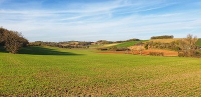 Paysage de campagne de Lamillarié