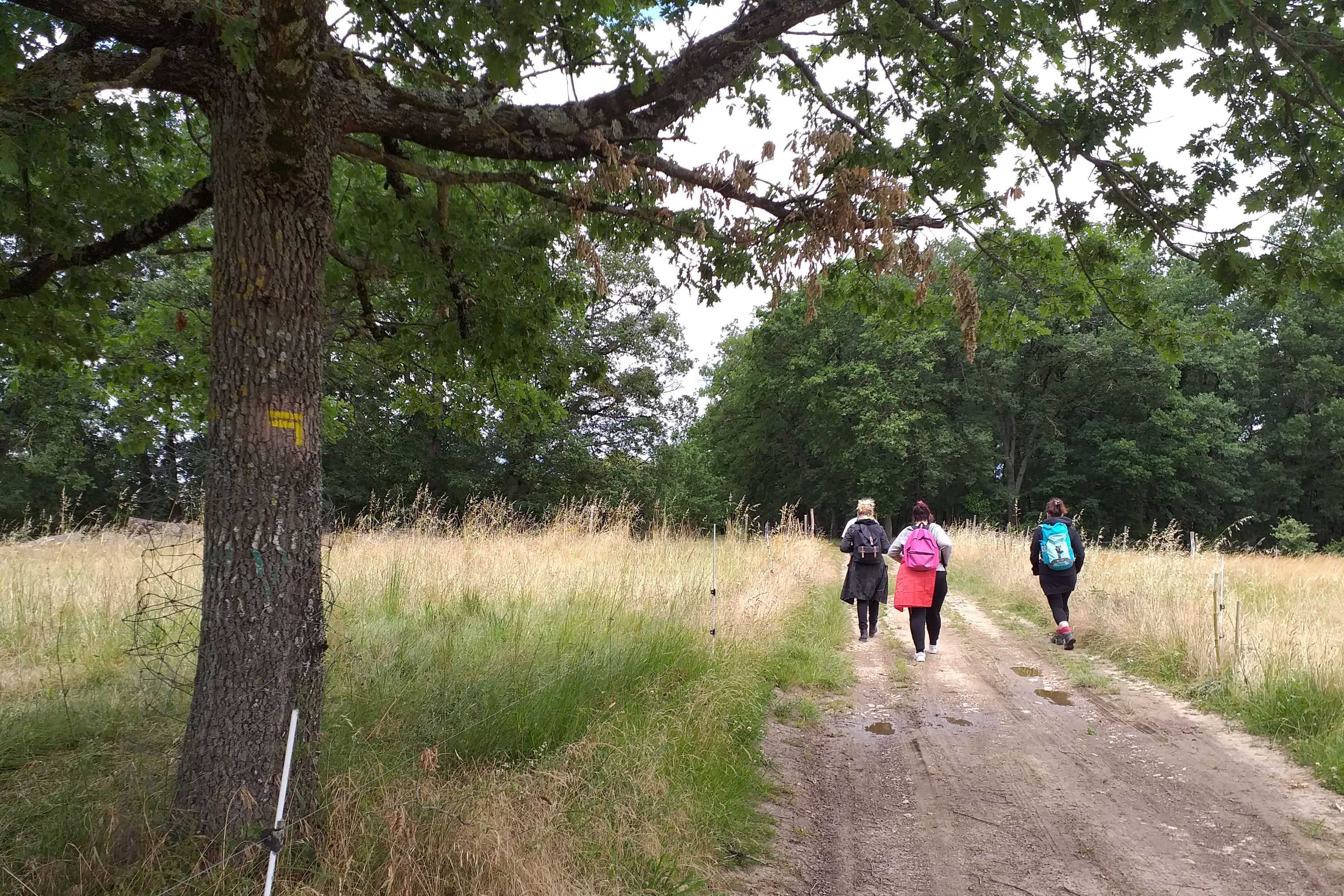 balade sur le sentier