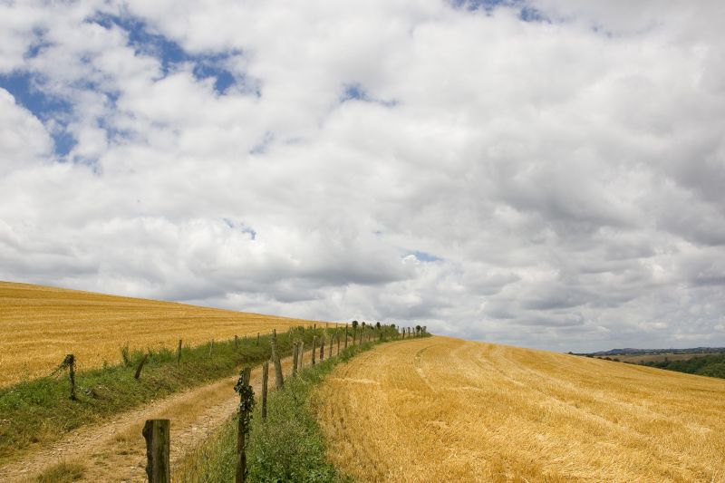 Sur le sentier des crêtes